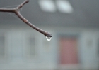 DSC 0003 2