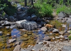 desolation wilderness09  tikka crossing a stream!