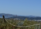 DSC 0084