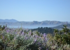 DSC 0161