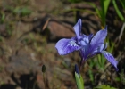 DSC 0184