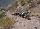 peru trail 01