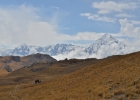peru trail 31