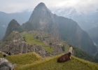 peru machu 03
